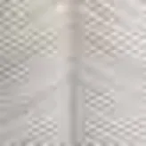Chevron minta